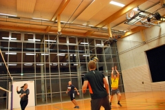 volleyball-halle4